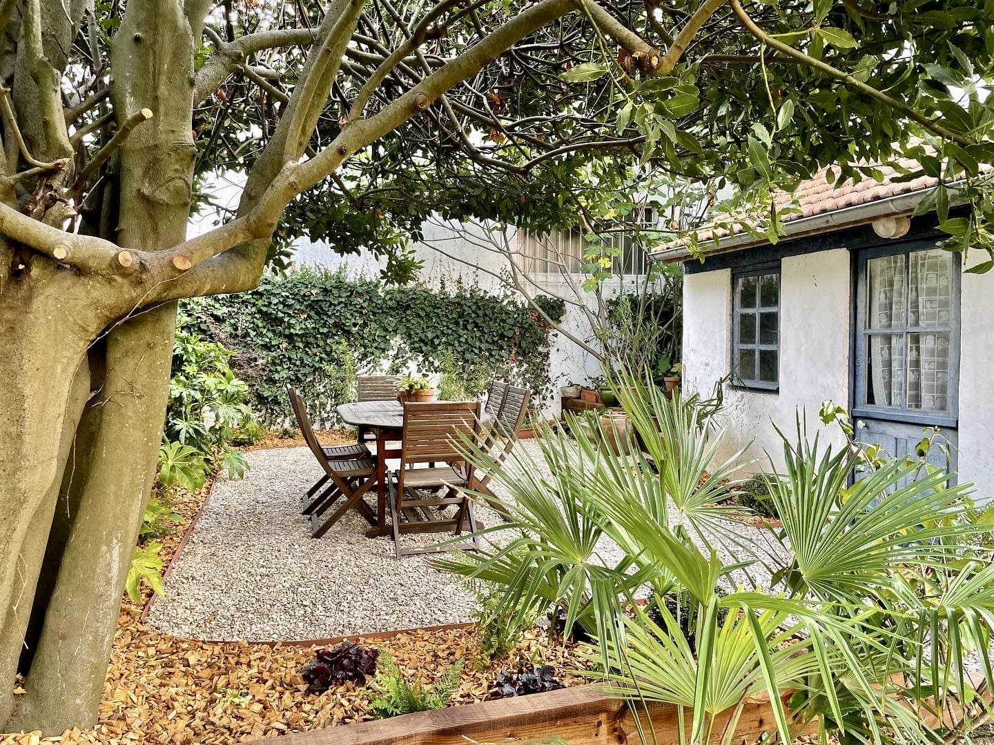 Refuge végétal urbain Terrasse à l'ombre