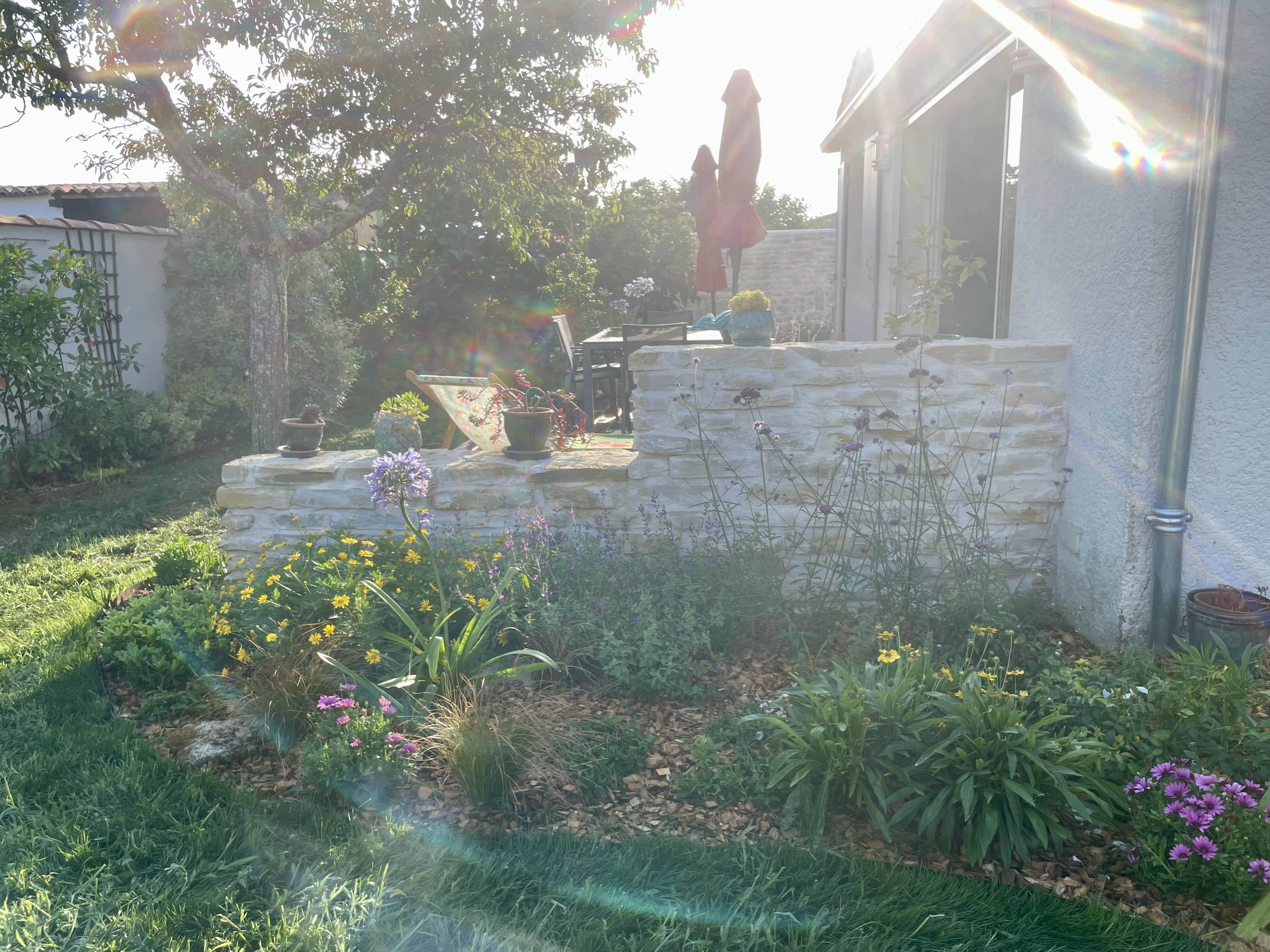 Jardin de Ré Muret en pierres calcaires