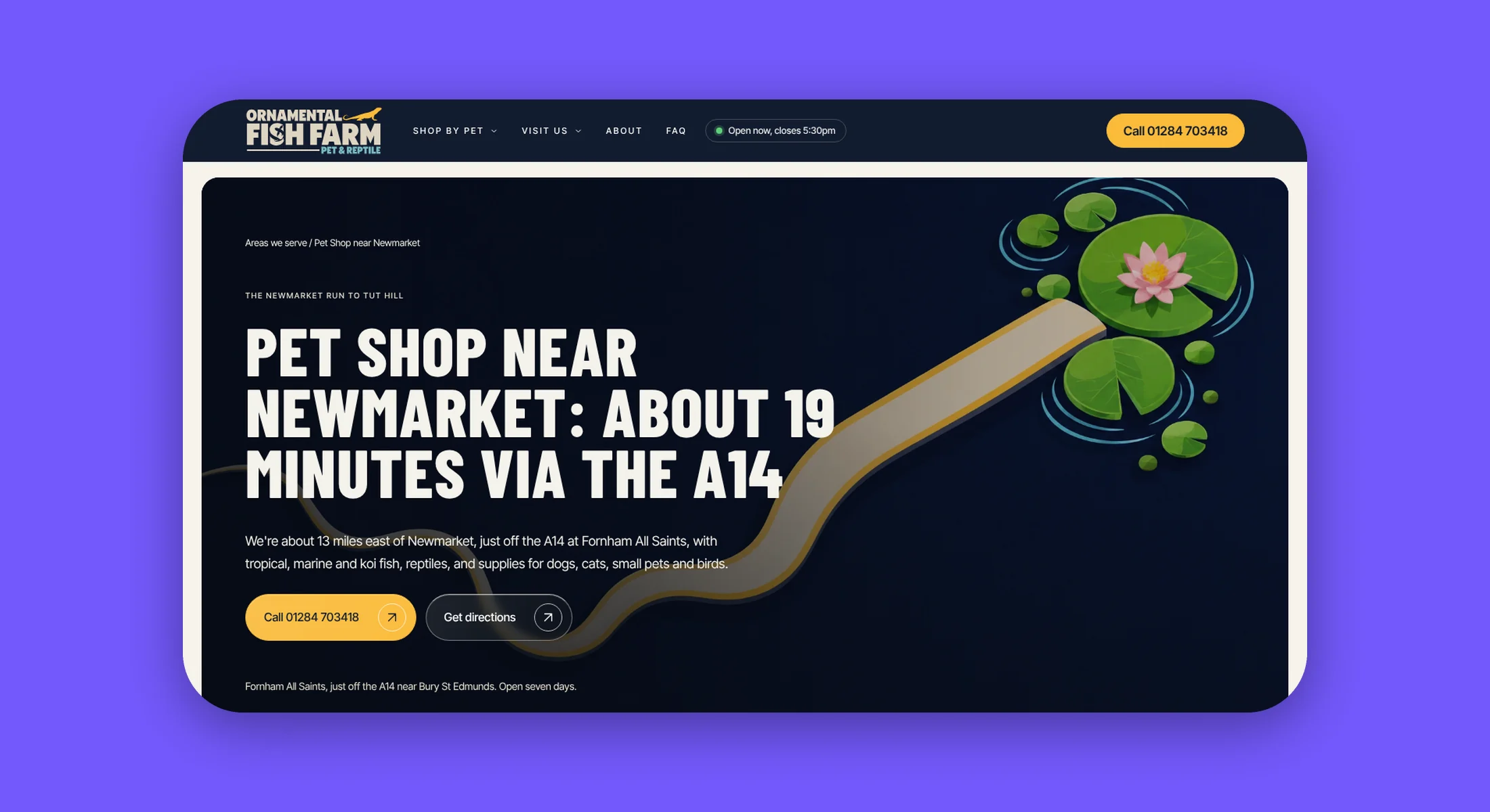 Newmarket town page hero, Pet shop near Newmarket: about 19 minutes via the A14