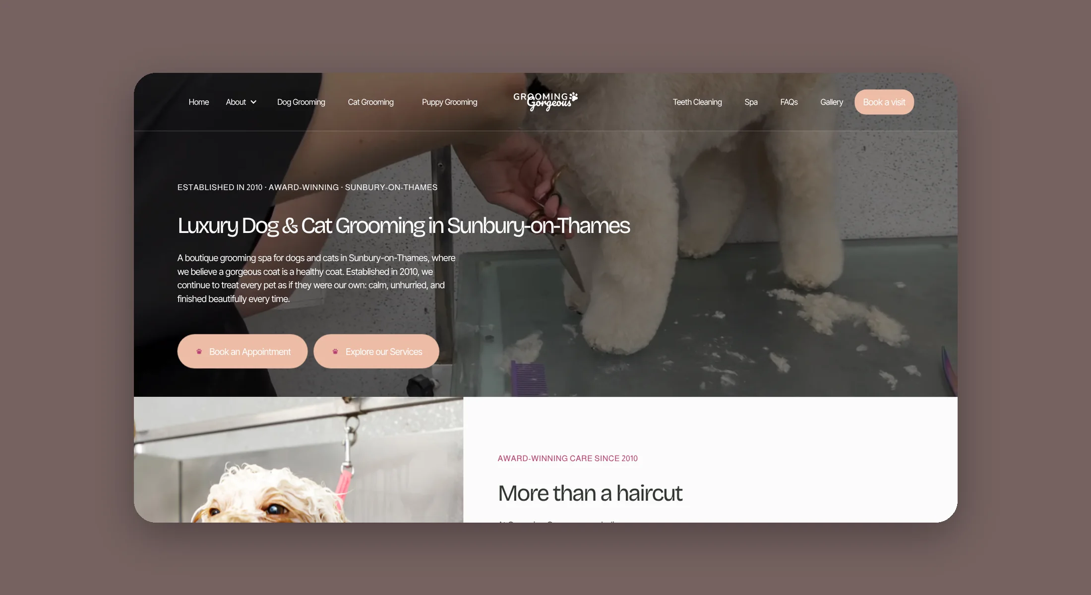 Grooming Gorgeous homepage hero for luxury dog and cat grooming in Sunbury on Thames