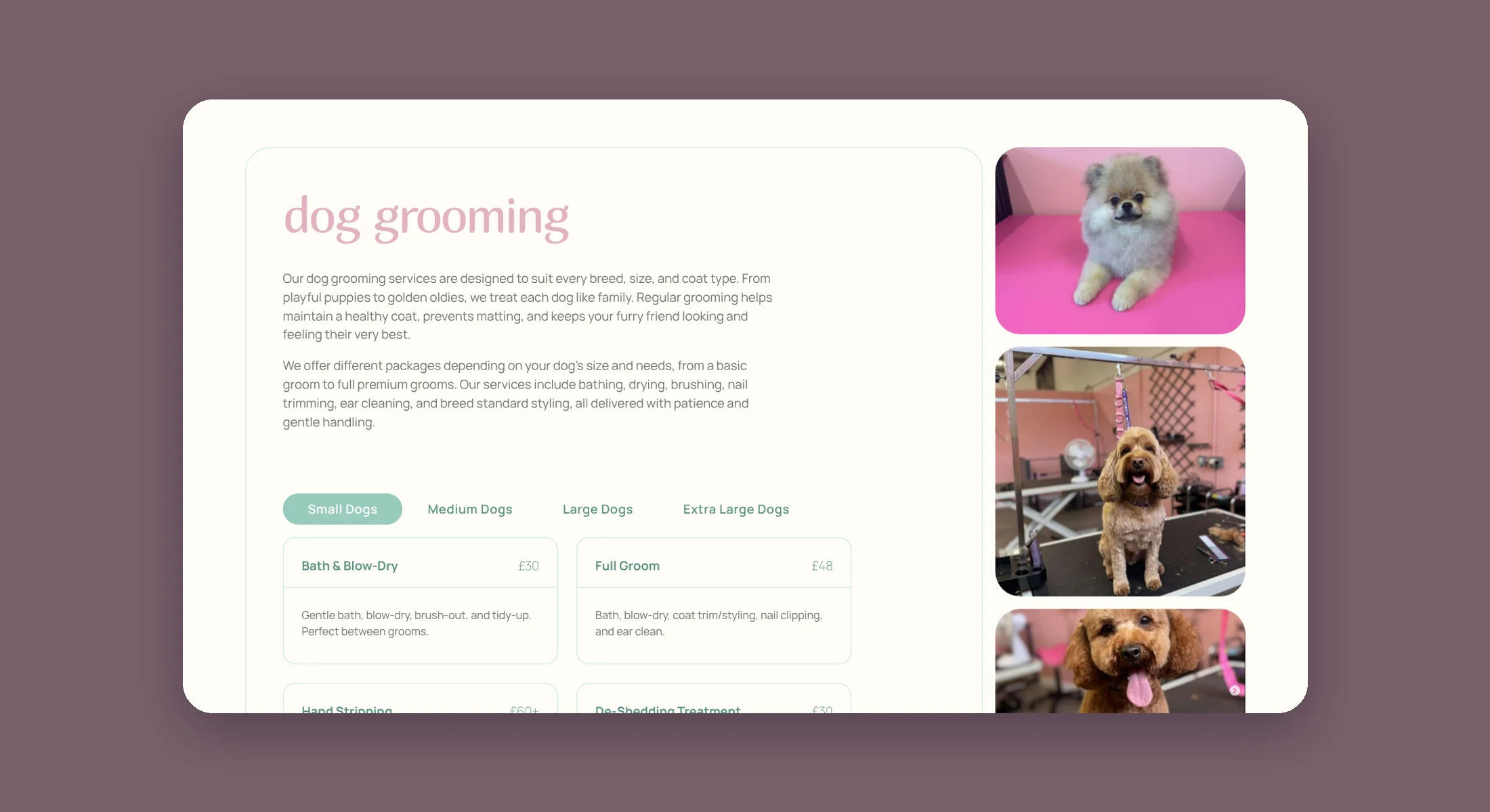Station Styles price list with dog sizes and grooming prices
