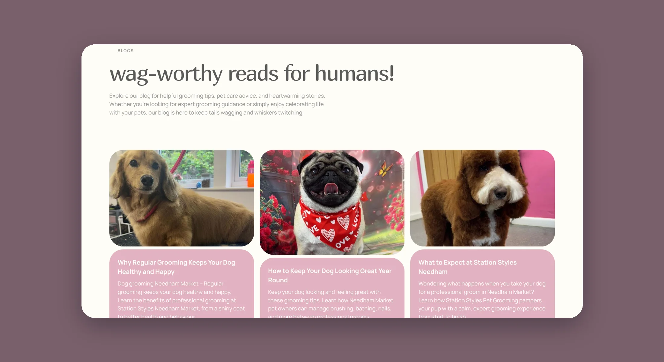 Station Styles blog with grooming advice for dog owners