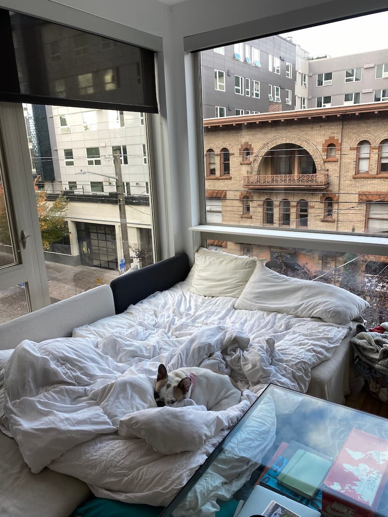 French Bulldog laying down on a bed sleeping