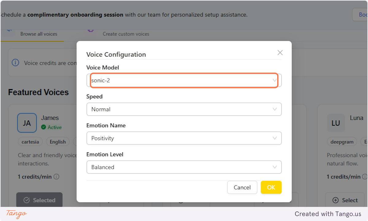 It will open a Voice Configuration.