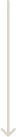 Light beige arrow pointing down. 
