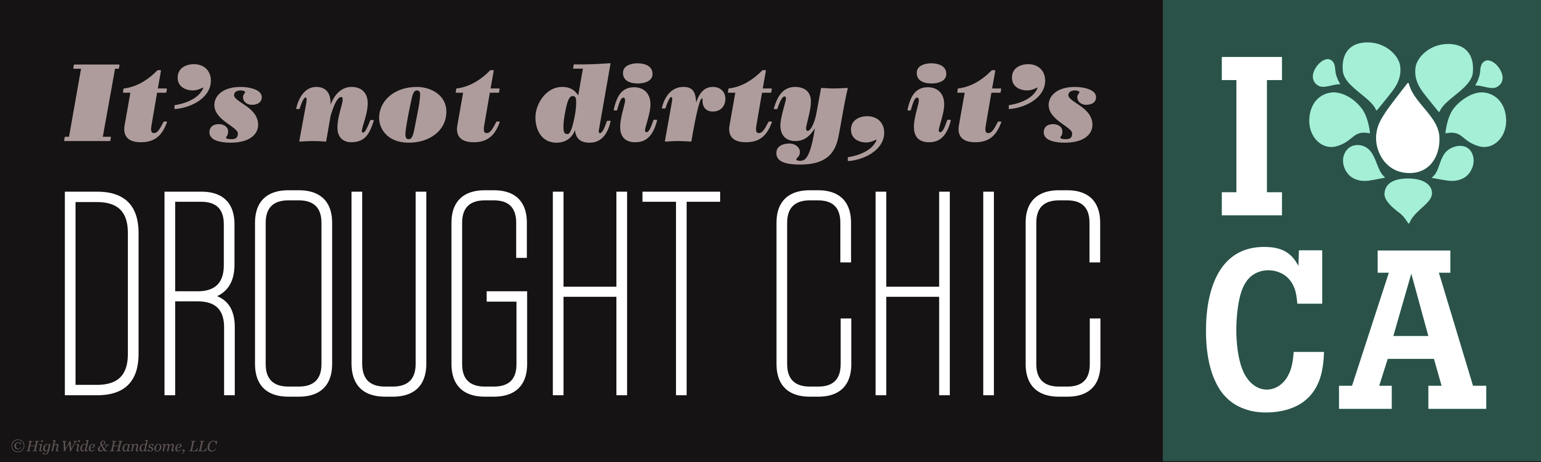 It’s not dirty, it’s drought chic bumper sticker.