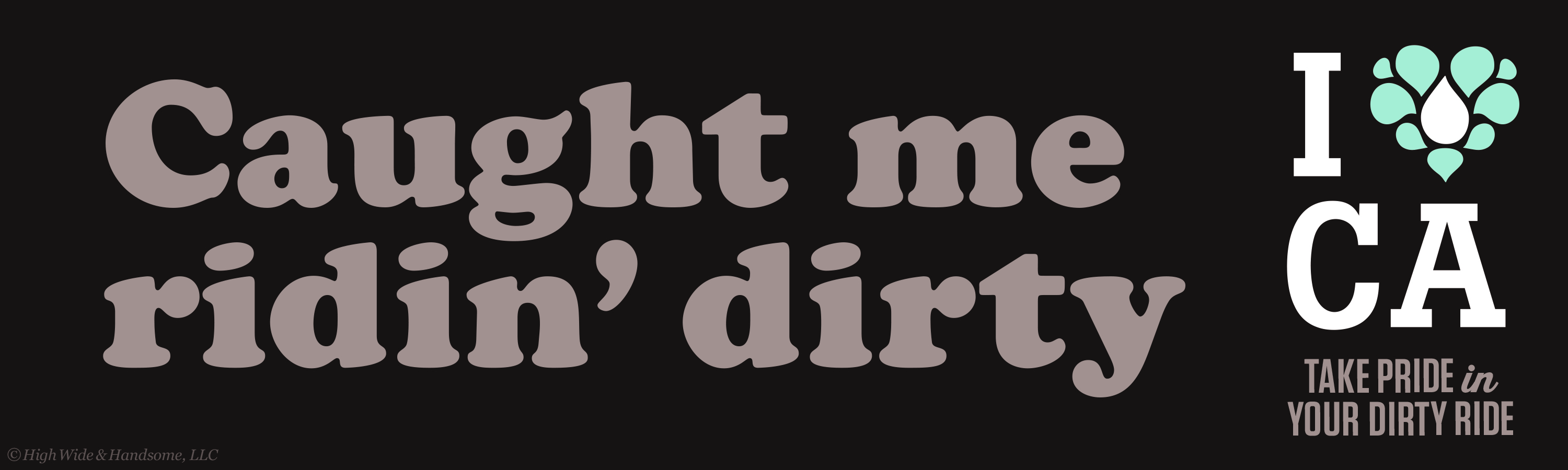 Caught me ridin’ dirty bumper sticker.