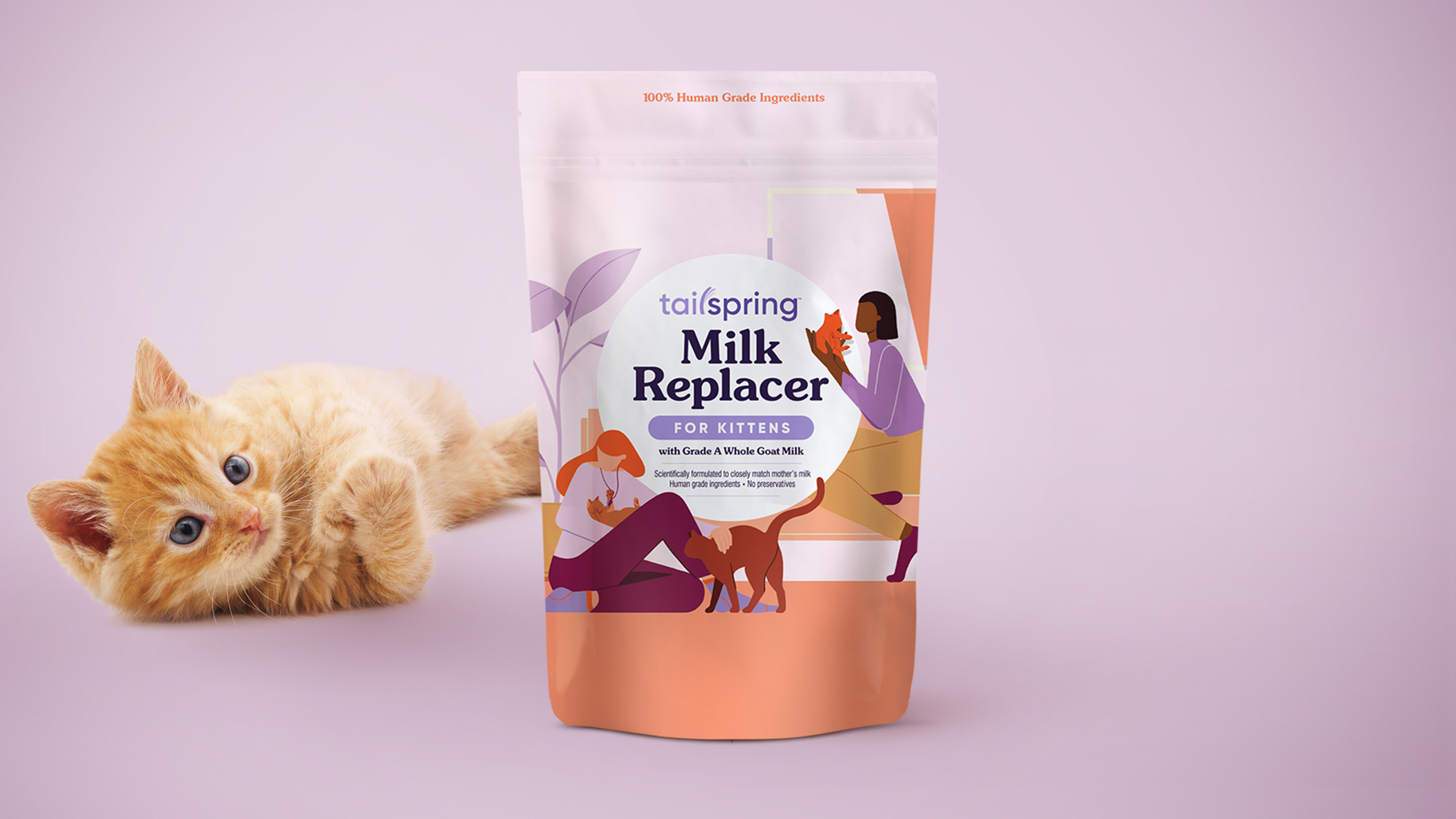 Package of Tailspring Milk Replacer for Kittens with an orange and white kitten next to it against a light purple background.