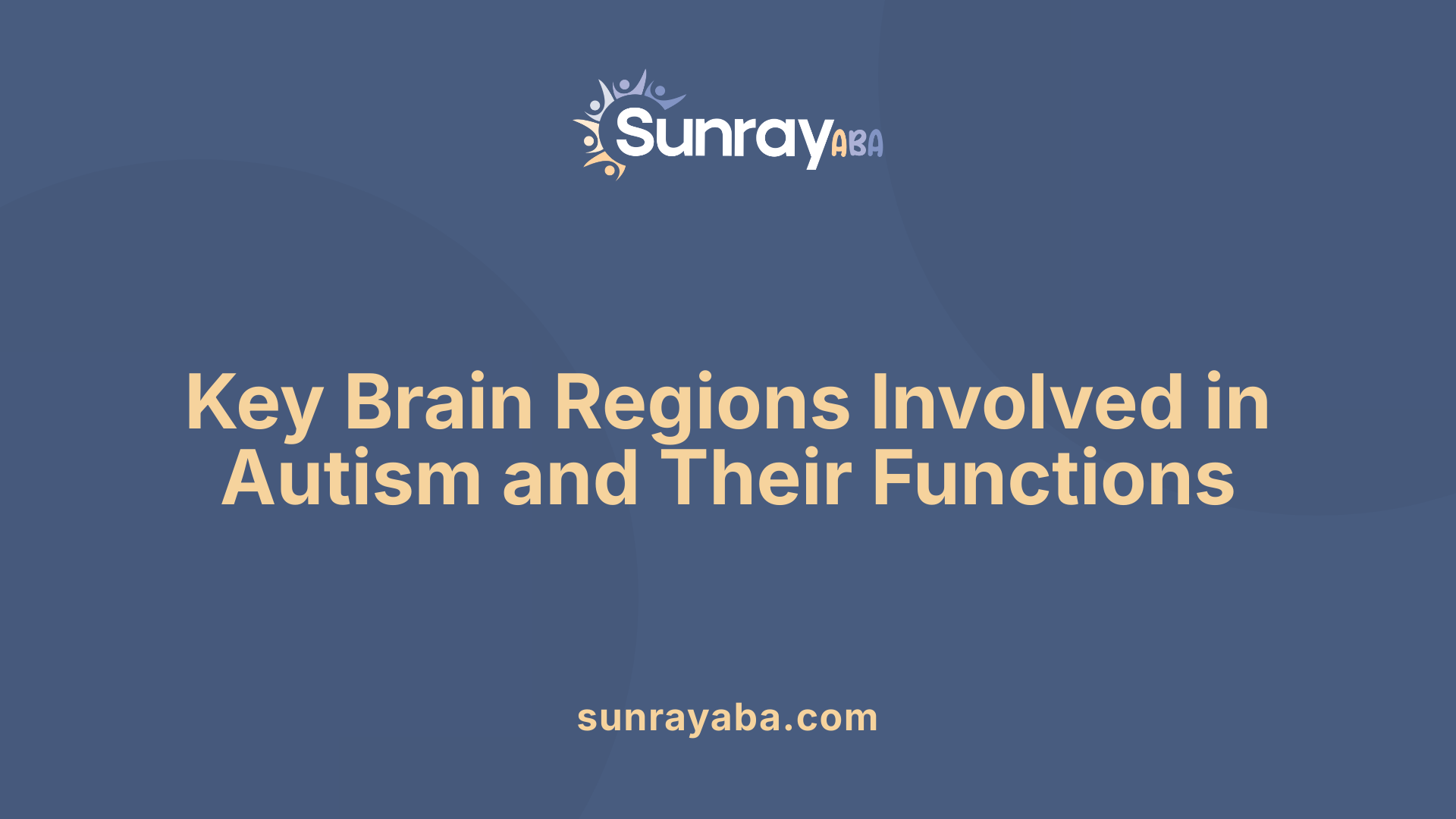 Key Brain Regions Involved in Autism and Their Functions