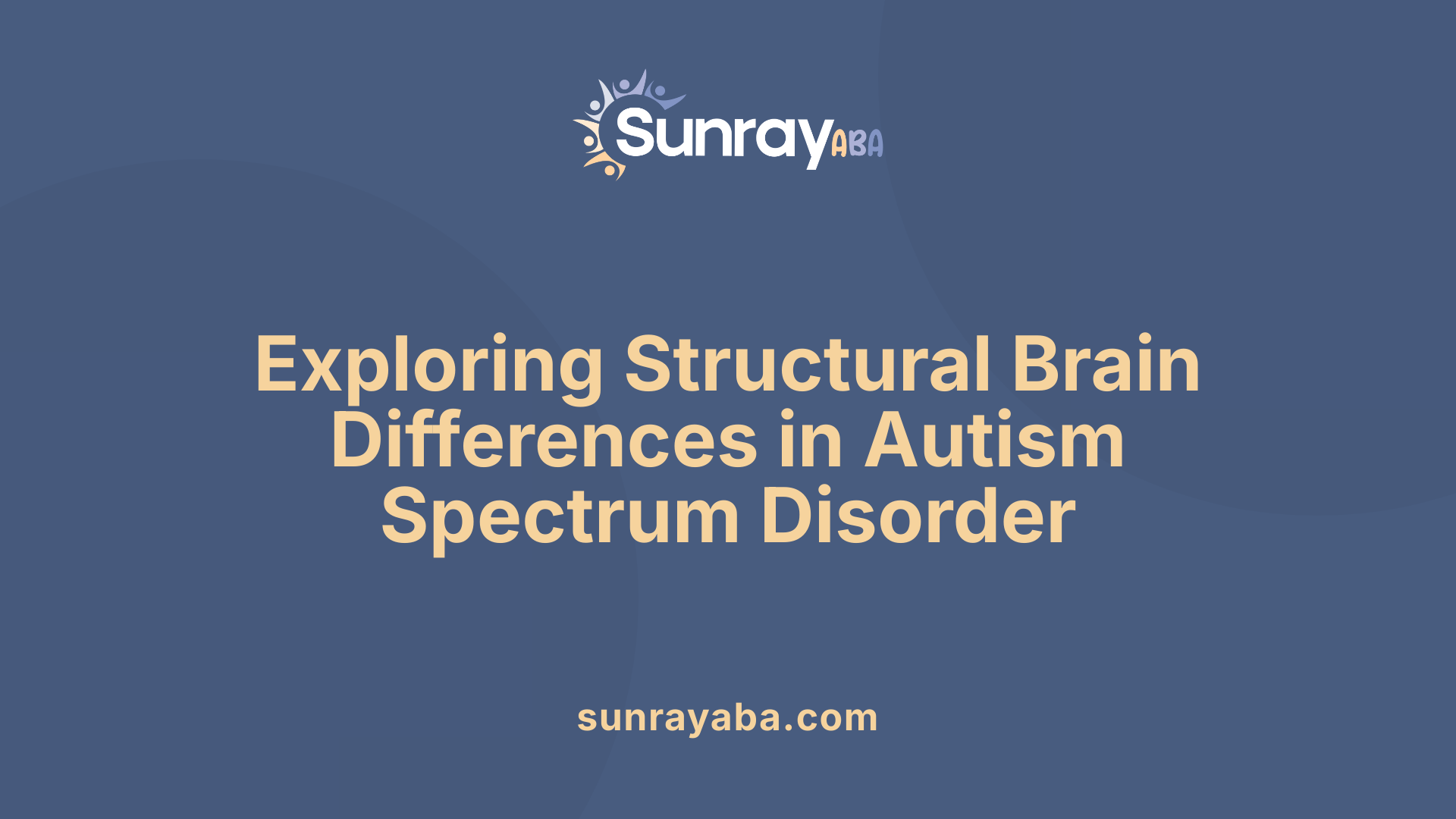 Exploring Structural Brain Differences in Autism Spectrum Disorder