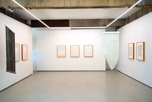 Image credit: Kylie Stillman. Elephant Paths, Utopia Gallery, 1 - 22 March 2025.