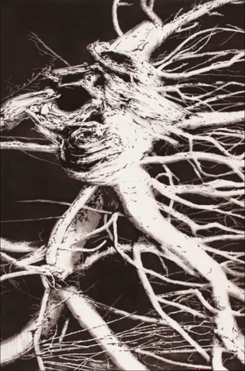 Fictions #5, 2013, lift ground, aquatint and drypoint printed by Simon White at Australian Print Workshop 89 x 59.5 cm, edition 10