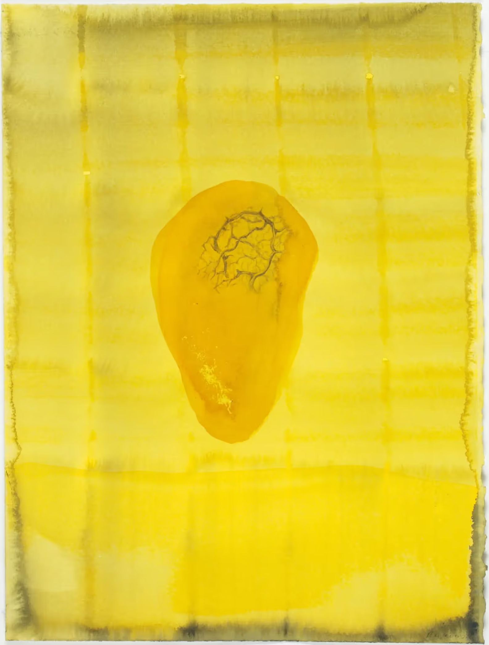 Sea plant head, 2020, pigment, Chinese pigmented ink on Arches paper, 38 x 28.5 cm