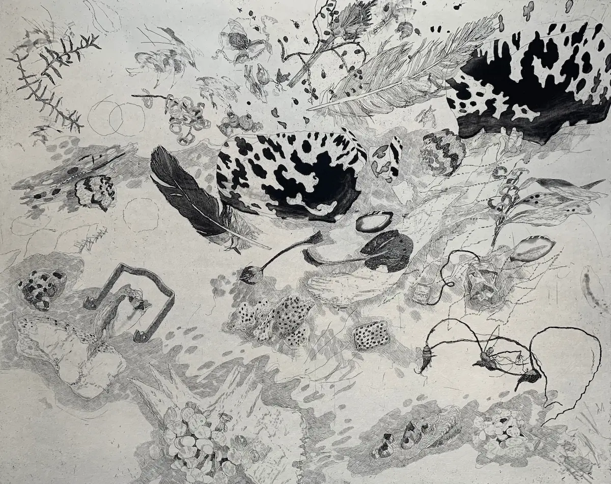 John Wolseley, Sea wrack with turtle shell and dugong bone - Baniyala, 2009, etching 49.5 x 61 cm, edition 30. Courtesy the artist and Australian Galleries