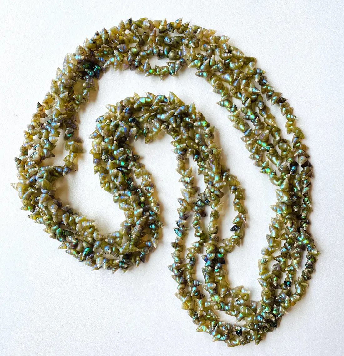 Fiona Hughes, four loop Maireener necklace, 2021, maireener shells approximately 364 cm