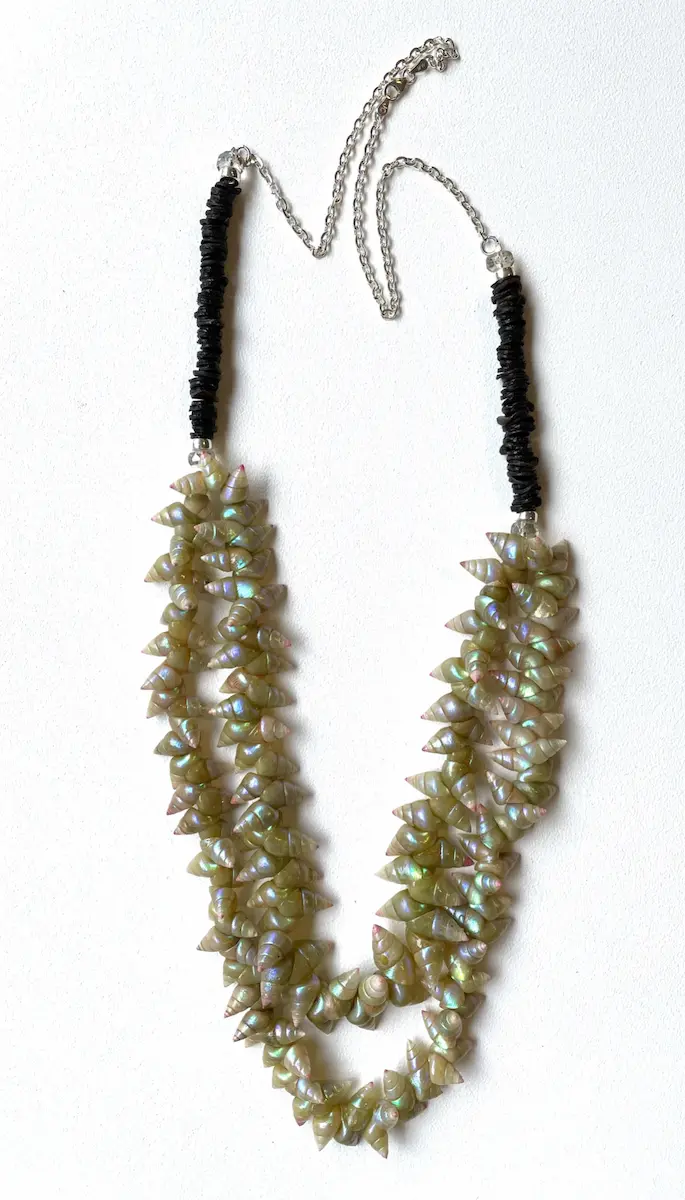 Fiona Hughes, Double strand shell necklace, 2021, maireener shells, kelp and sterling silver, 88 cm