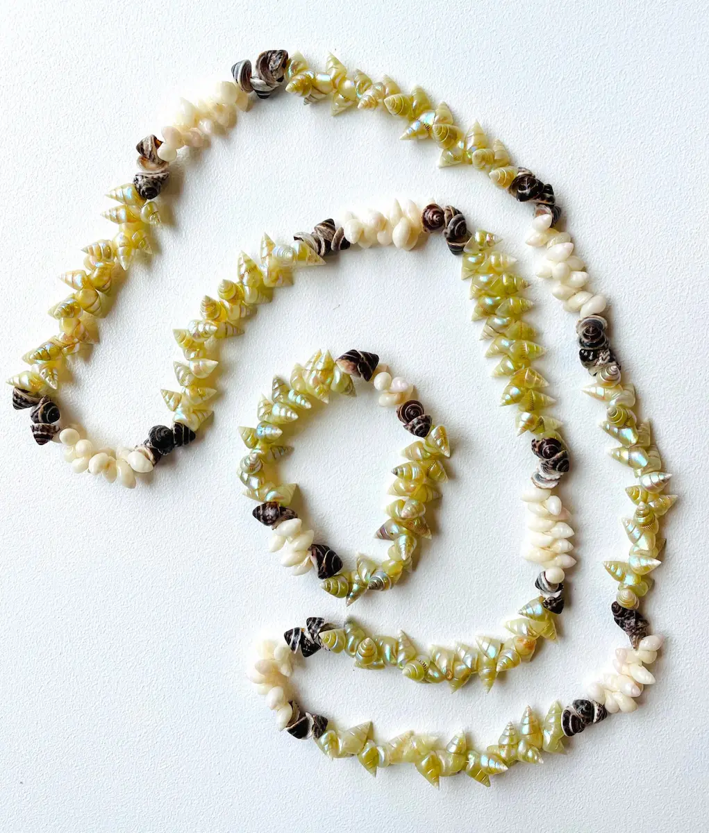 Fiona Hughes, Single loop necklace and  bracelet set, 2021, maireener and toothie shells from Cape Barren Island and button shells, approximately 82 cm and 16 cm