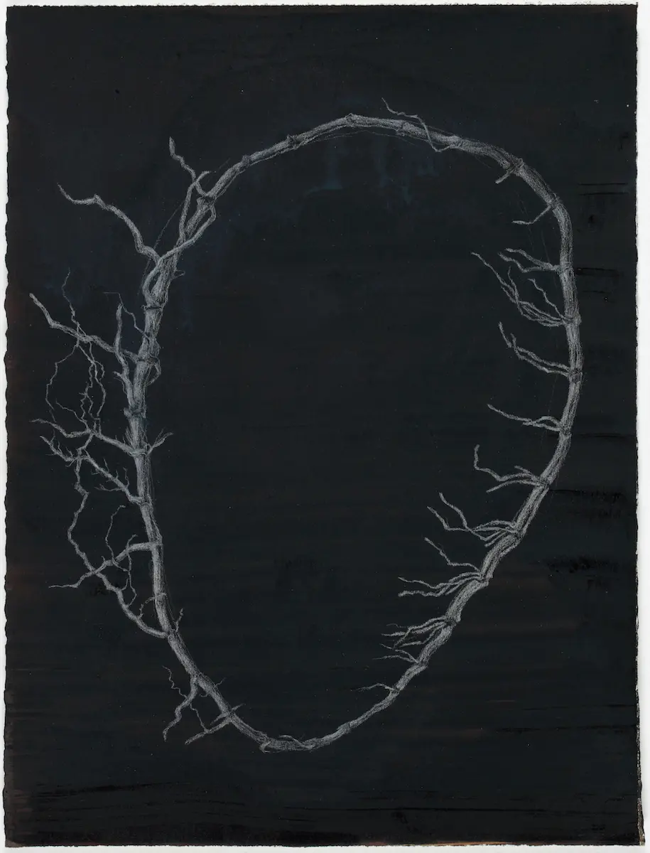 Symbiotic, 2021, pencil, pigment & pigmented ink on Arches paper, 38 x 29 cm