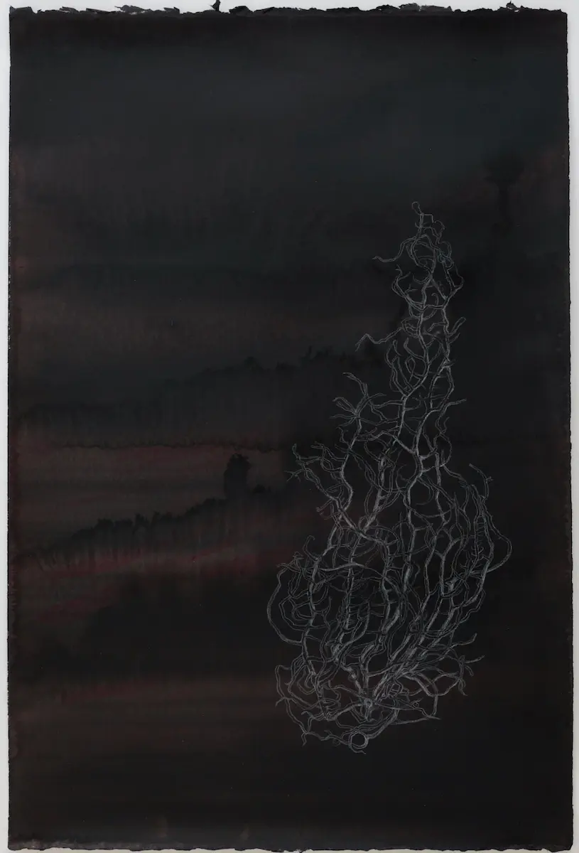 Brunswick Heads, 2019, pencil & pigmented ink on Arches paper, 57 x 38 cm