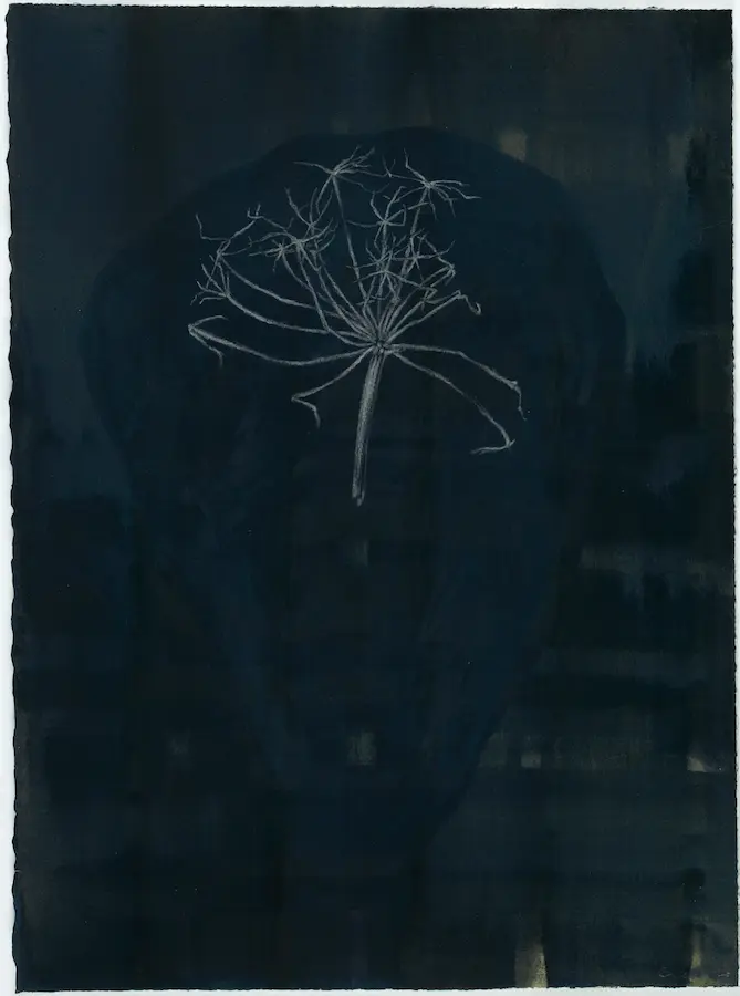 Wishing, 2020, pencil and pigmented ink on Arches paper, 39 x 28.5 cm