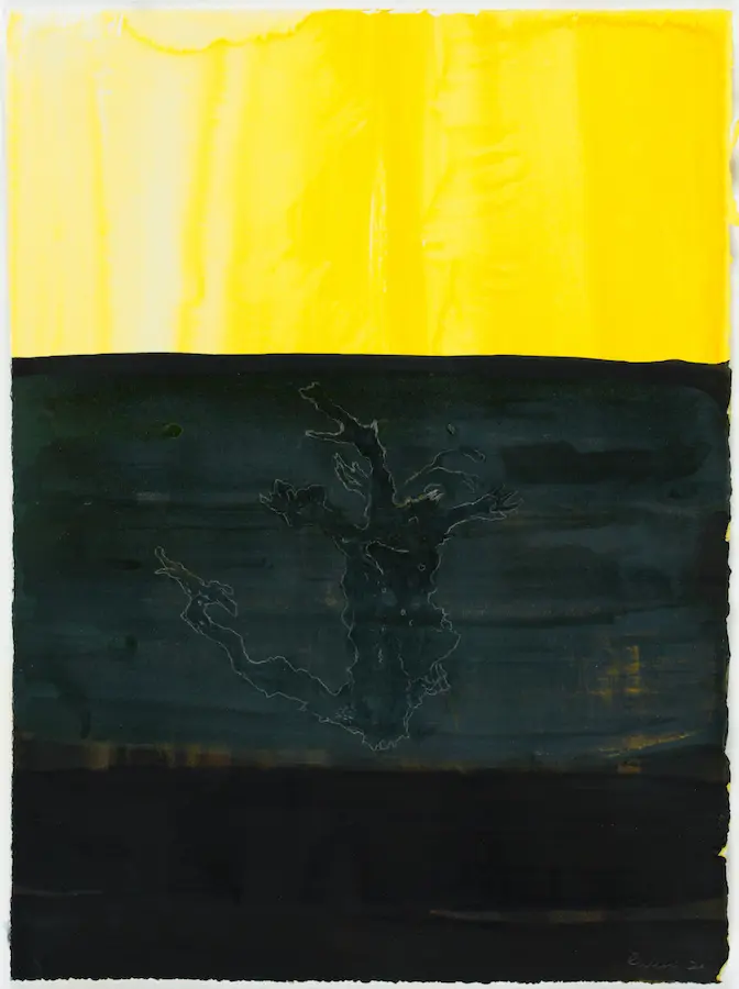 Sea plant with yellow stripe, 2020, pencil, pigment and pigmented ink on Arches paper, 38.5 x 28.5 cm