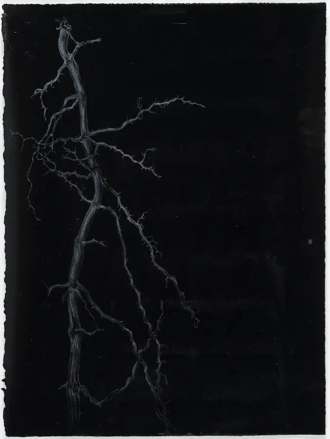 Nervous system, 2021, pencil and pigmented ink on Arches paper, 38.5 x 28.5 cm