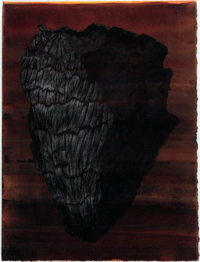 Charcoal form, 2020, pencil & pigmented ink on Arches paper, 38 x 29 cm