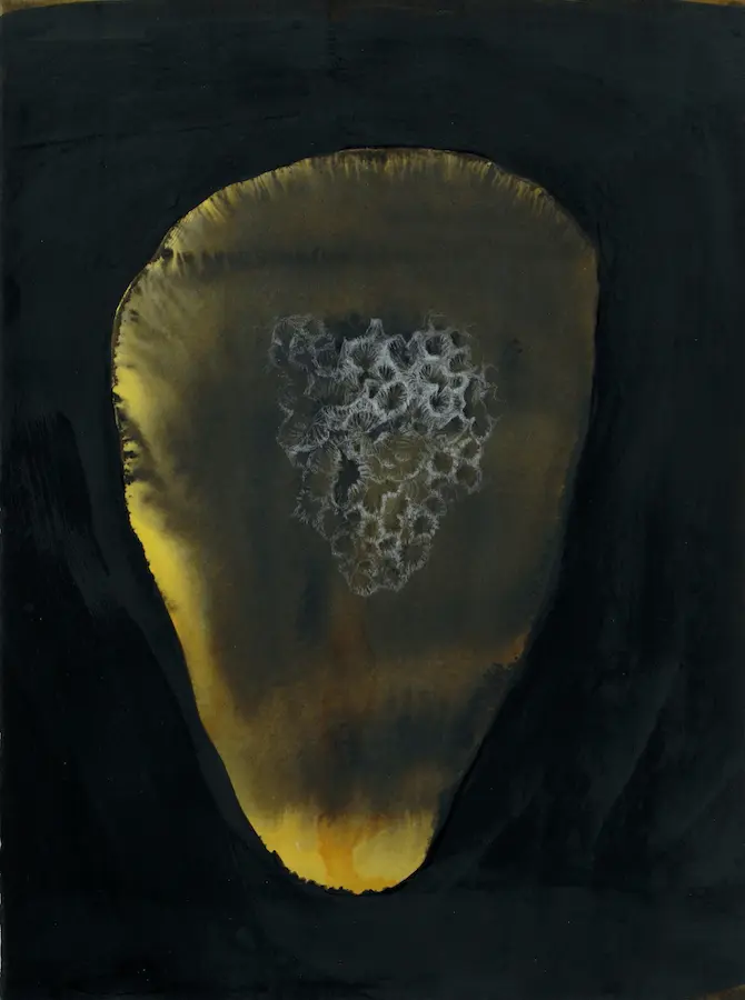 Coral, 2020-21, pencil & pigmented ink on Arches paper, 38.5 x 28.5 cm