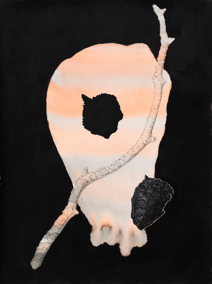 Targets, 2020, pencil, Chinese & pigmented ink on Arches paper, 76 x 56 cm