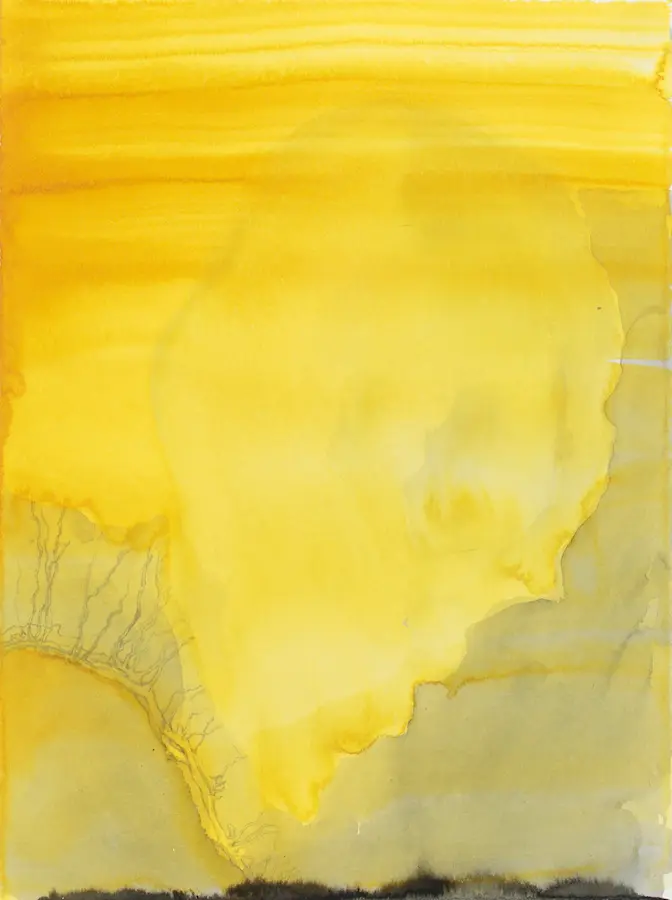 Long memory, 2021, Chinese & pigmented ink on Arches paper, 38 x 28.5 cm