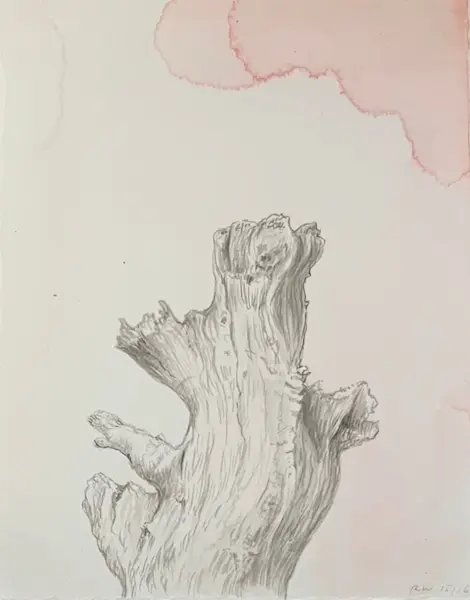 Observatory Beach near the point, 2015/16, Chinese ink & watercolour on Arches paper, 16 x 12.5 cm