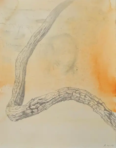 Near Point Lonsdale, 2017, Chinese ink & watercolour on Arches paper, 16 x 12.5 cm