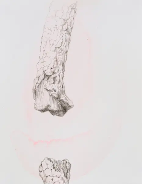 Rye, 2016, Chinese ink & watercolour on Arches paper, 16 x 12.5 cm