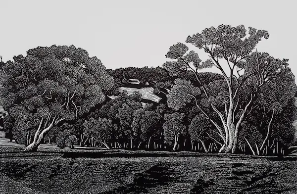 Rosalind Atkins, Yammacoona, 2019 wood engraving, 11.5 x 19.5 cm, edition 20