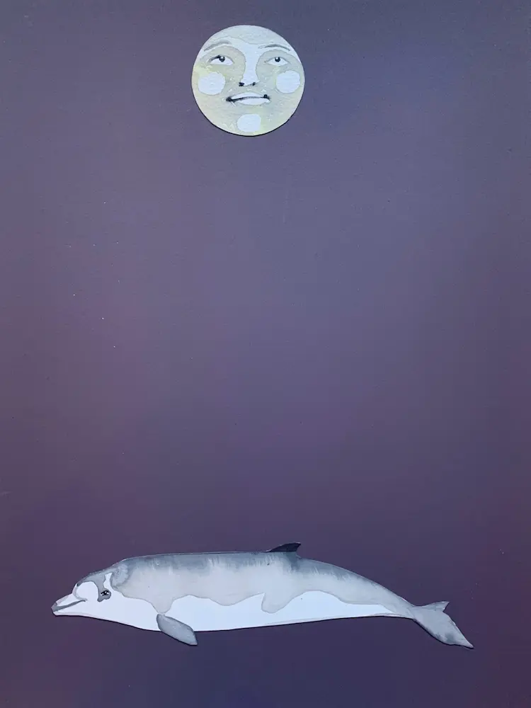 Tai Snaith, True's beaked whale, 2020, gouache & ink on paper 45 x 35 cm