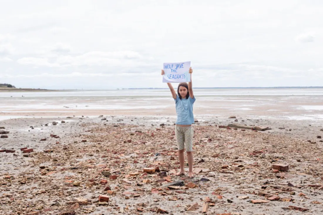 Siri Hayes, Lungs of the Bay: Mangrove mudflats and seagrass at Jack's Beach, 2019, pigment print, 55 x 82 cm, edition
