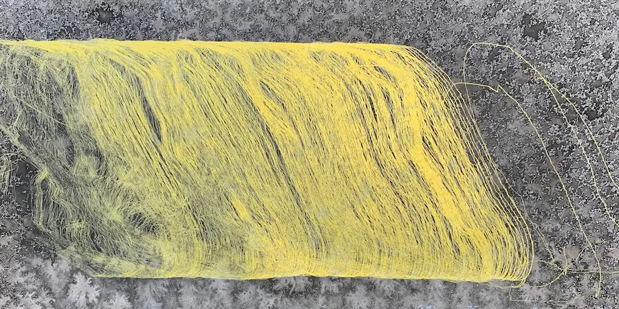 Solar 75 min Nov 13, 2021, acrylic & metallic ink on watercolour paper,23 x 45 cm