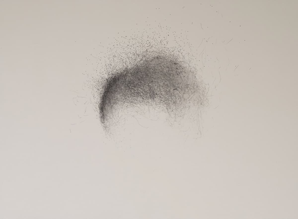 Tuesday's light, Collingwood SW Nov, 2016, wind drawing, pigment ink on watercolour paper, 55 x 74.5 cm