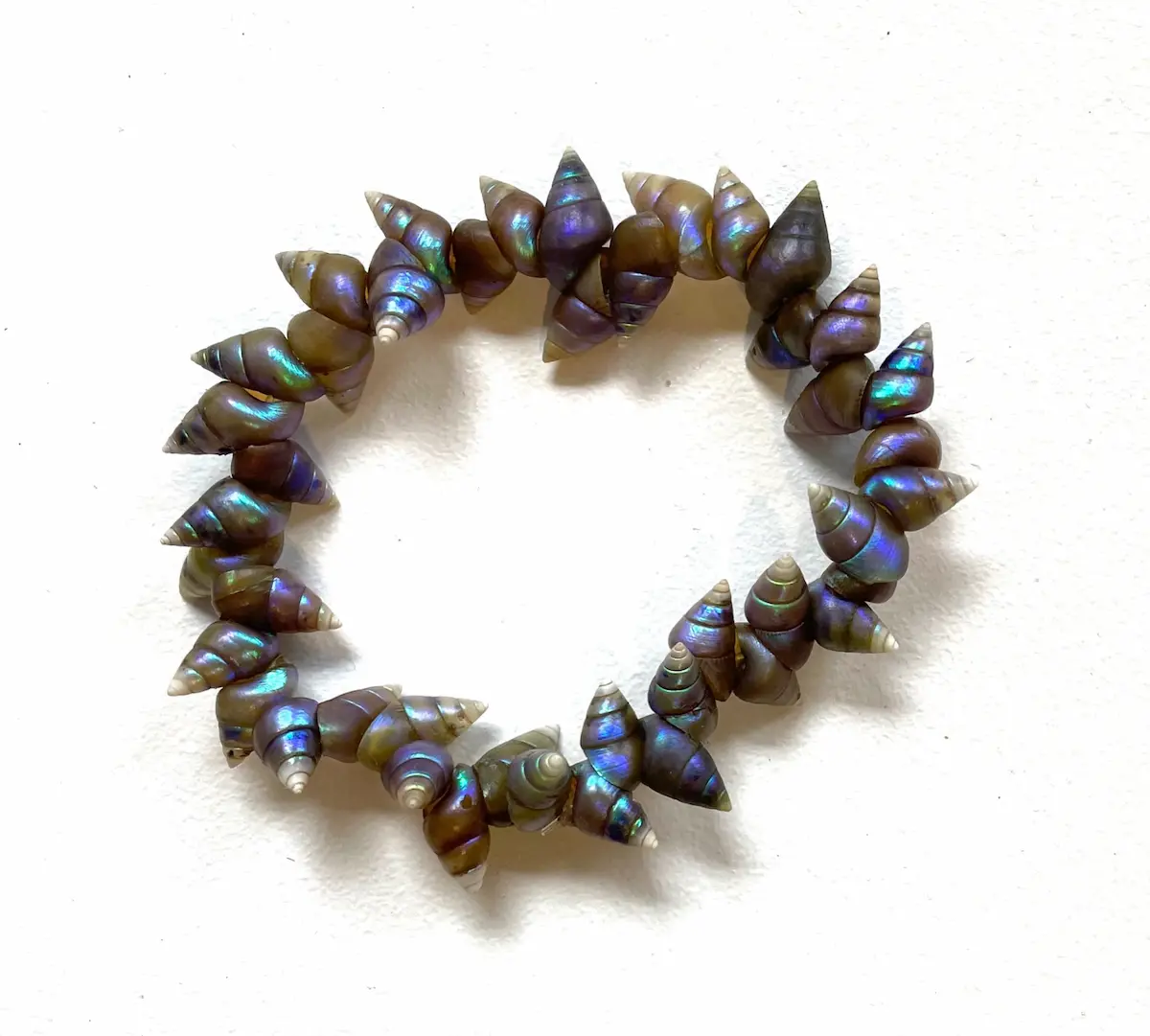 Fiona Hughes, Maireener bracelet, 2022, maireener shells on elasticised thread, approximately 16 cm