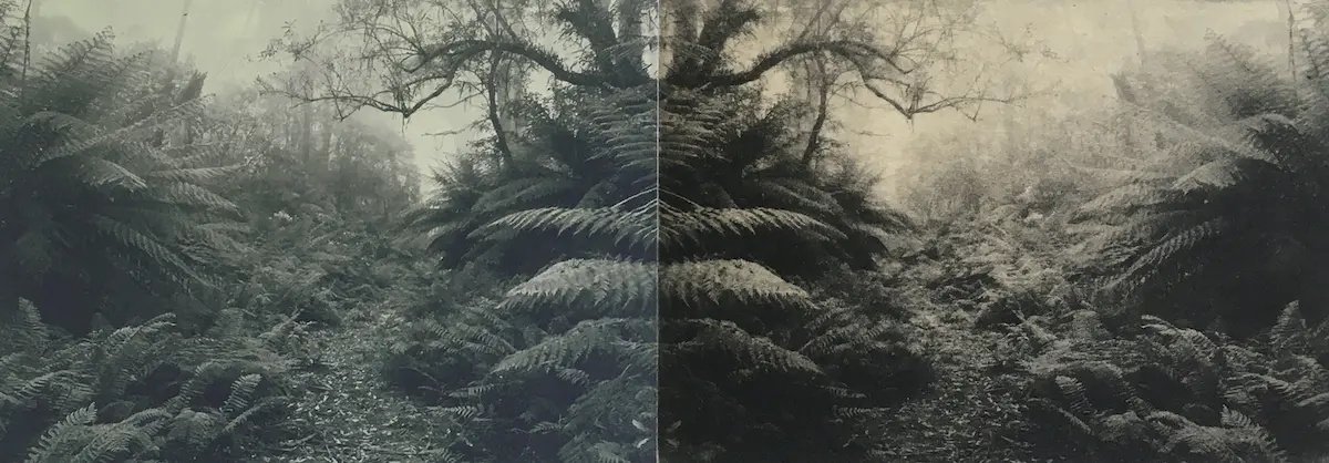 Lesley Duxbury, Neither here nor there #2, 2019, photo-etching, chine collé, inkjet print, 10.5 x 27.5 cm, edition 4