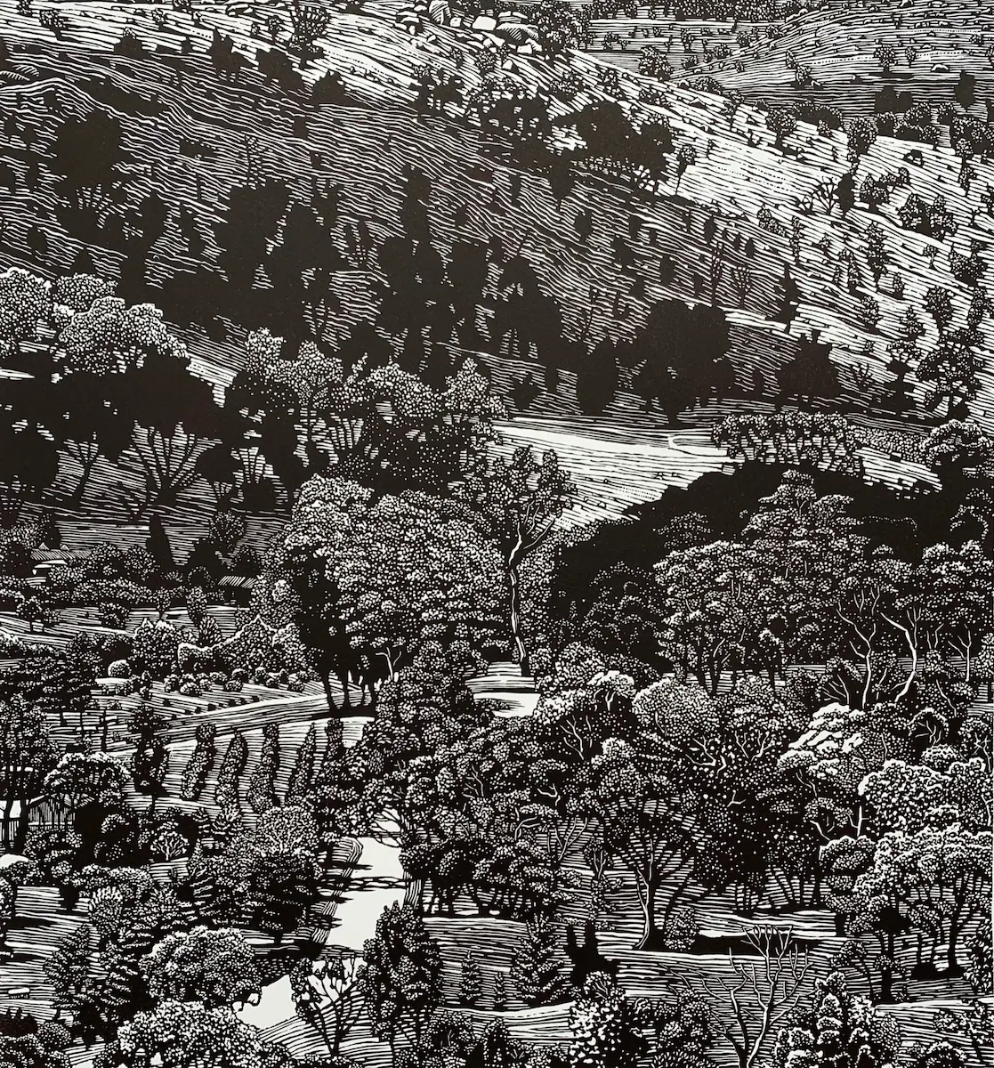 David Frazer, Waiting for rain (panel 2, 2nd state), 2013, linocut 51.5 x 48 cm, edition 50+ T/P