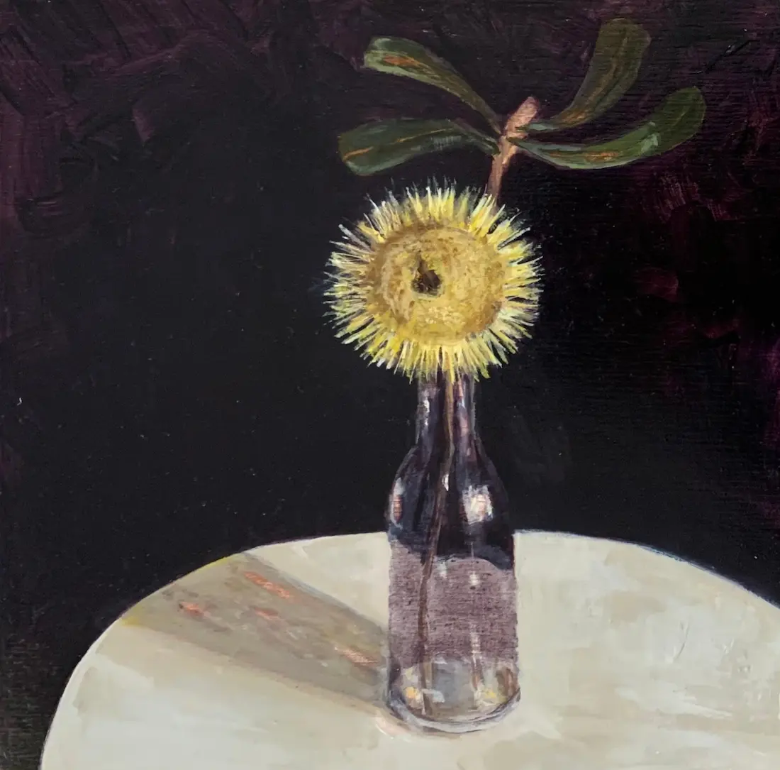 Alix Hunter, Red Hill banksia, 2021, oil on board, 20 x 20 cm
