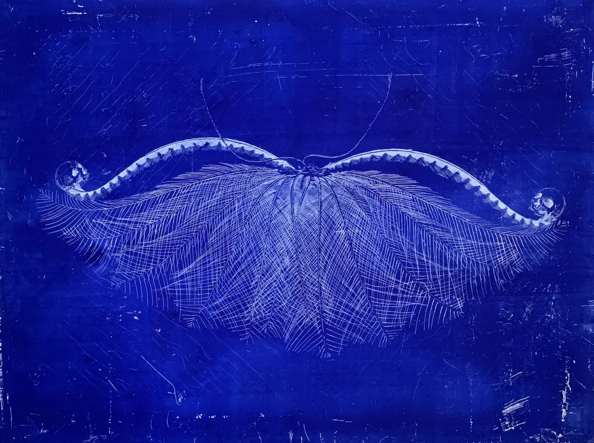 Martin King, Provocateur indigo, 2019, relief etching, 67 x 88 cm, edition 30