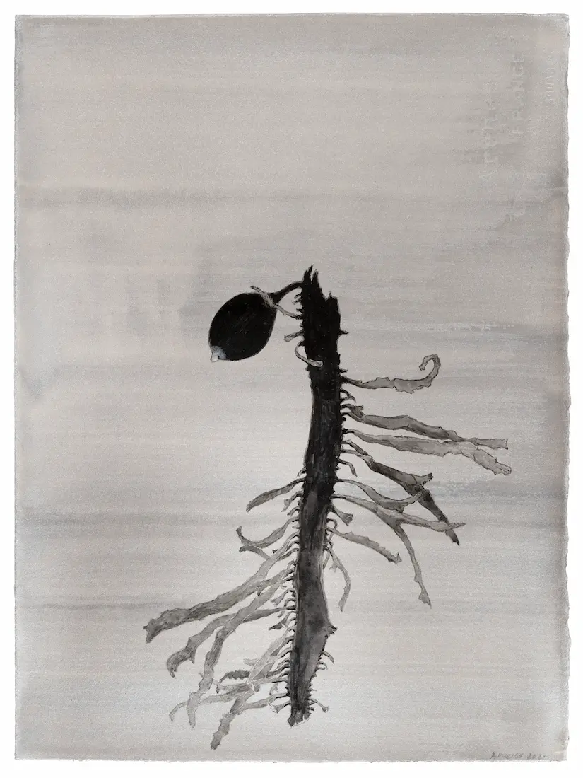 What lies beneath III, 2024, ink on paper, image size: 38 x 28.5 cm (framed)