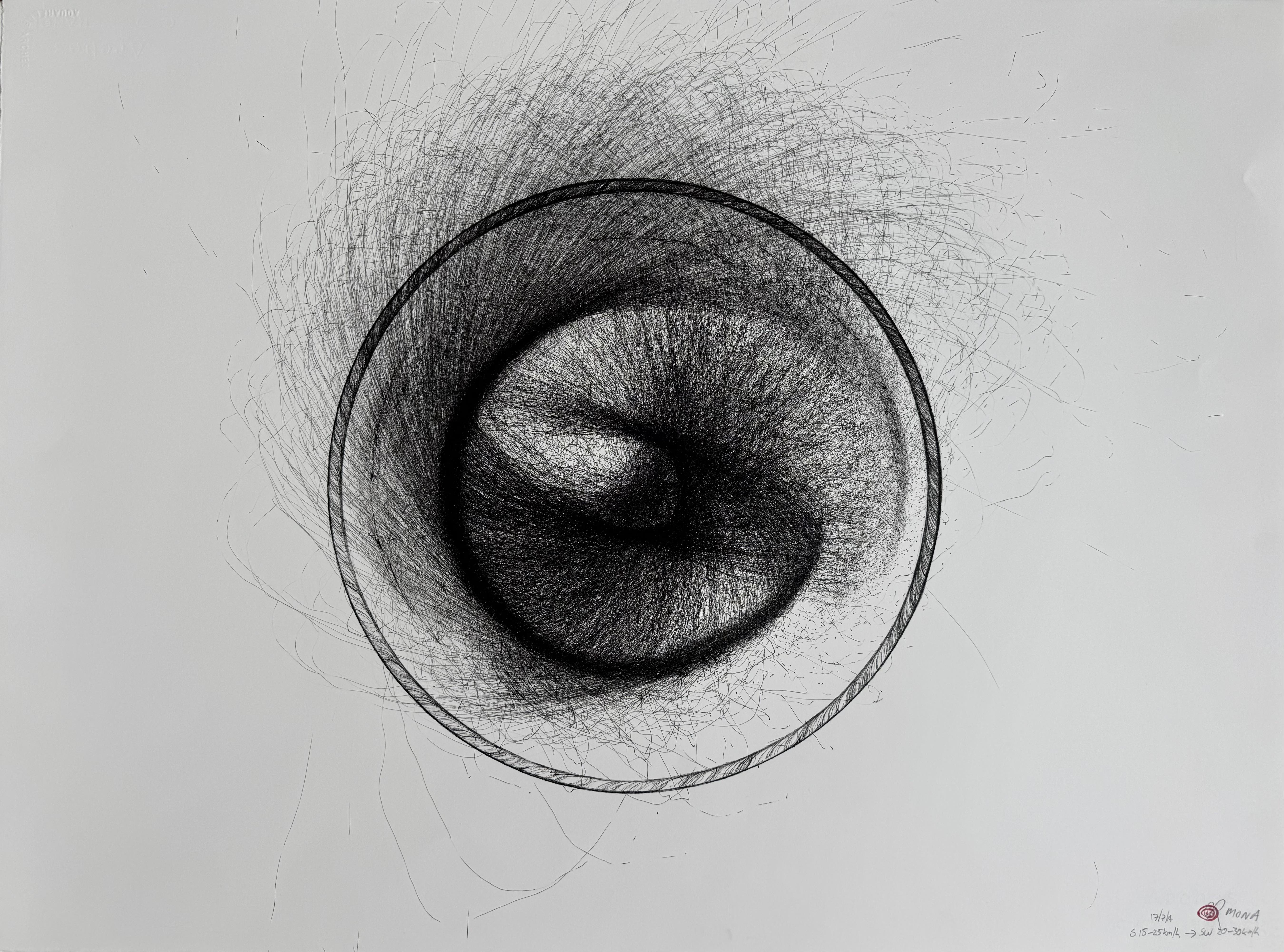 MONA 17:7:2014 S SW 30kmh 24 hrs, 2014 wind drawing, 56 x 76 cm, unframed