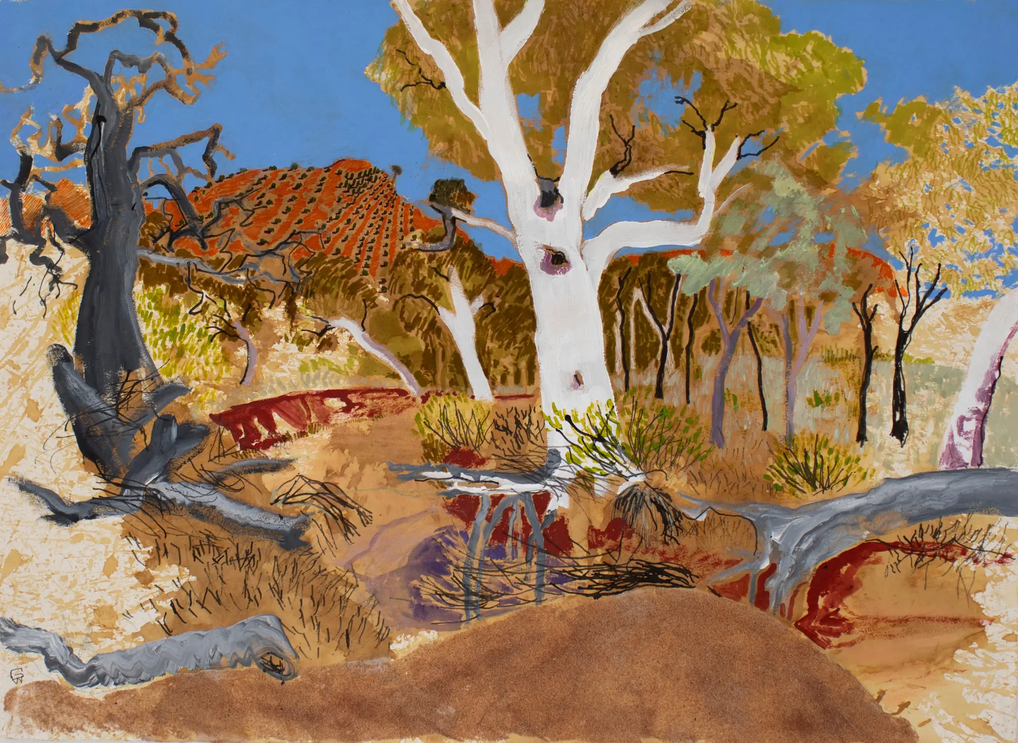 Gidja Walker, Tree hollows in the riverbed, 2025 Mutawintji National Park, Pantjikali, Wanyuparlku, Wilyakali & Malyangapa country, kangaroo grass ink, ink, acrylic, pen & sand on Arches paper, 57 x 76 cm unframed, $2,200