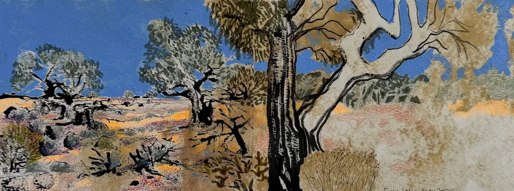 Gidja Walker, Emu Lake, 2025, Menindee Lakes, Barkindji/Paakantji country, kangaroo grass ink, pen, pencil on Arches paper, 14.2 x 38 cm unframed, sold