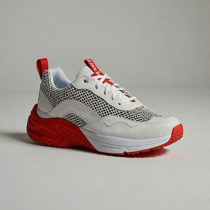 Template Image - Shoe Grey 1