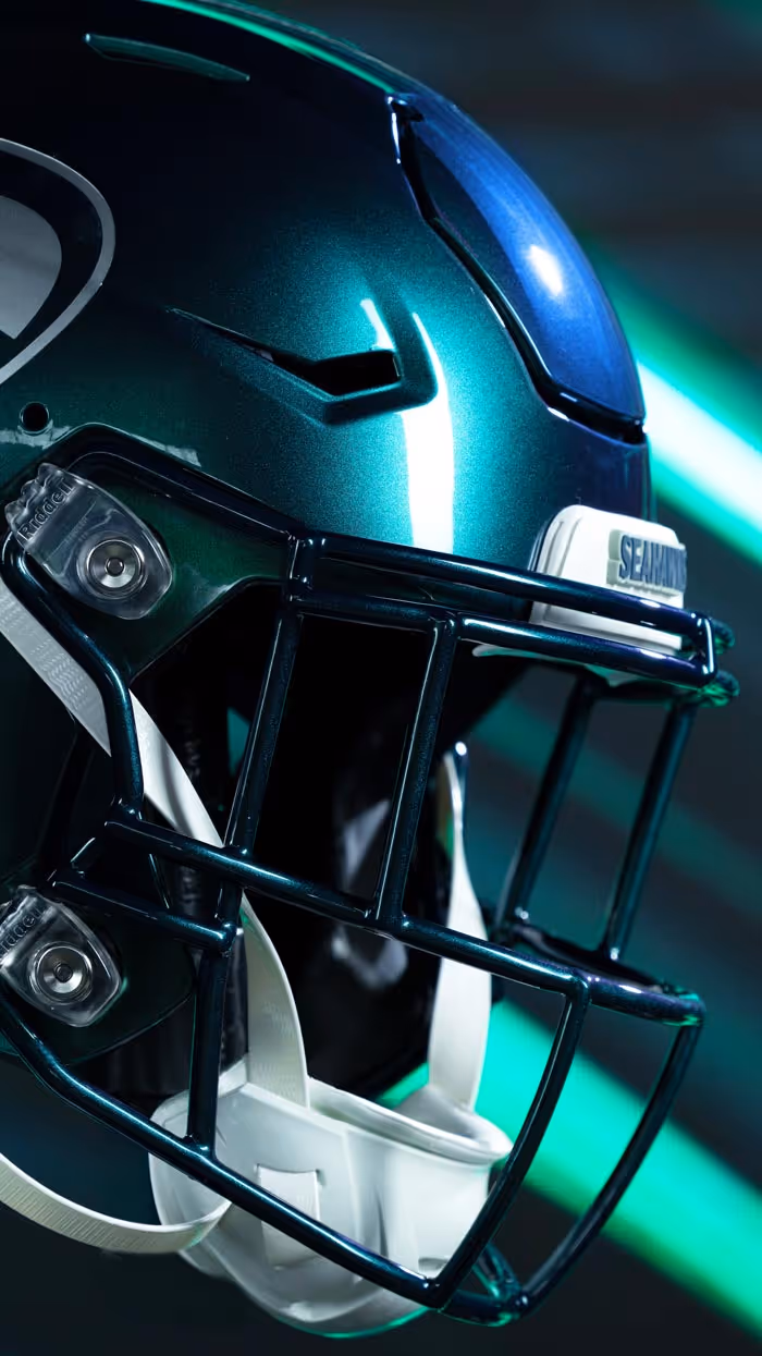 Detail of helmet color