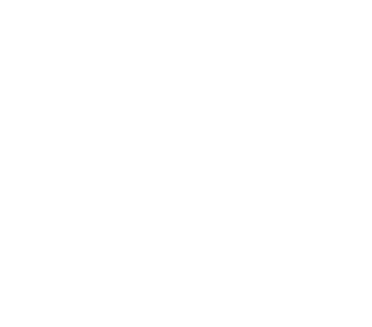 President & Co-Owner of Veranda